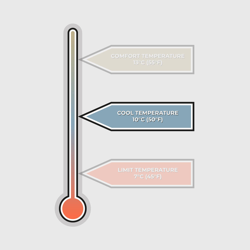 VOITED Mini Traveler Cream Indoor / Outdoor Camping Blanket - Camp Vibes Two